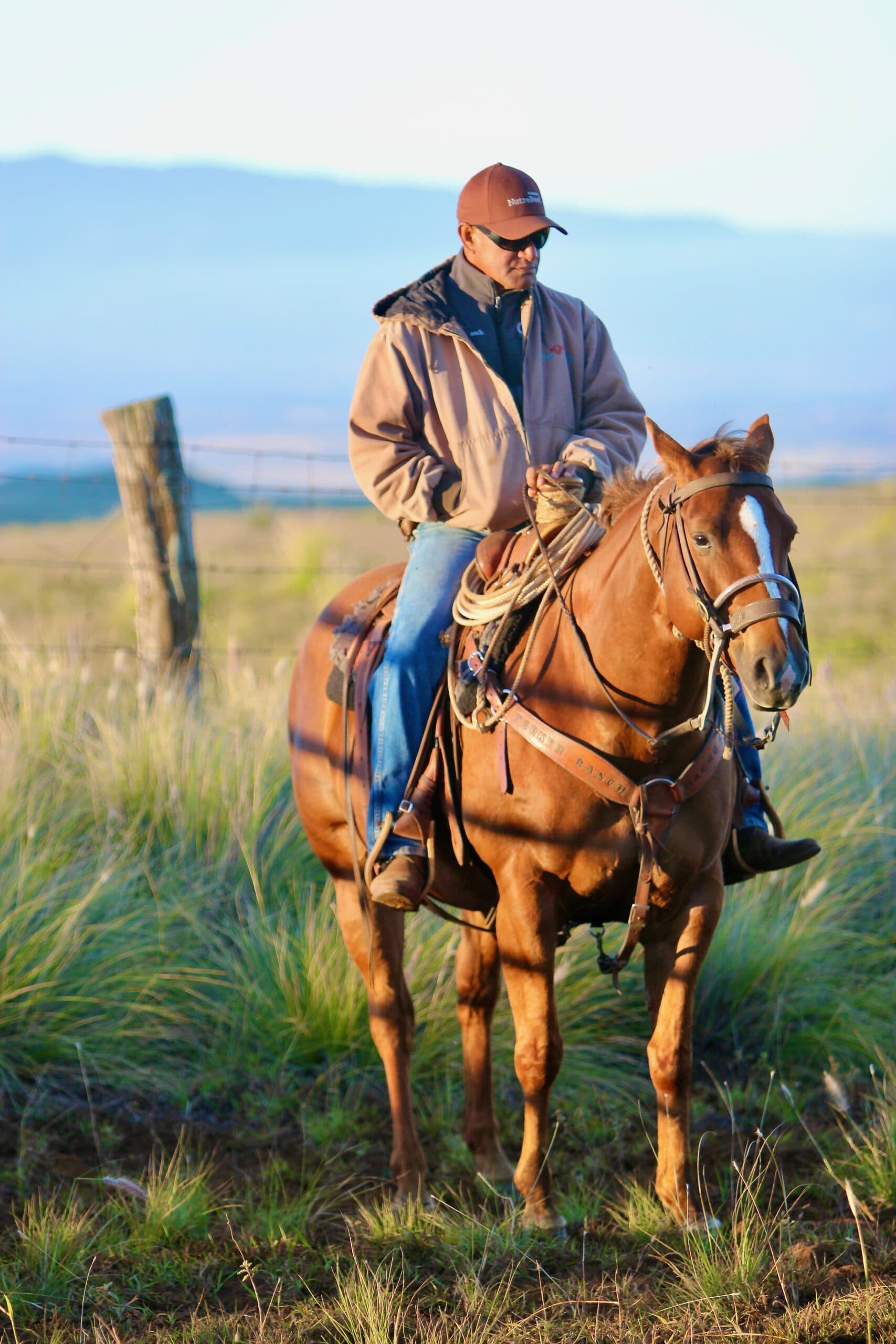 THE LEGACY OF A PANIOLO, THE STORY OF GORDON KALANIOPIO